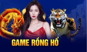 Bí quyết chơi game rồng hổ 69vn