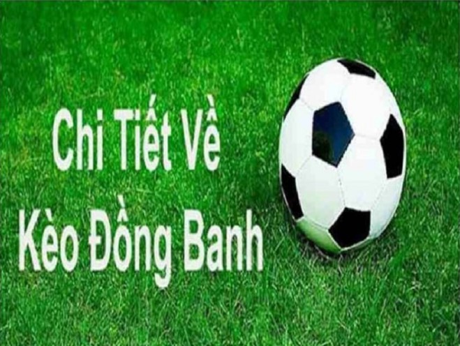 Hướng dẫn chi tiết cho tân thủ cách đọc kèo đồng banh tại 69vn