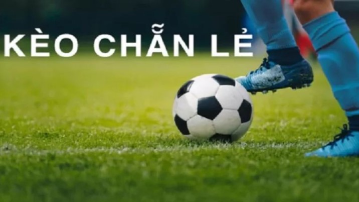 Kinh nghiệm chơi cá cược chẵn lẻ hoàn hảo